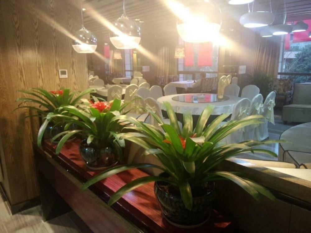 Chengdu Hello Hotel CTU Екстериор снимка